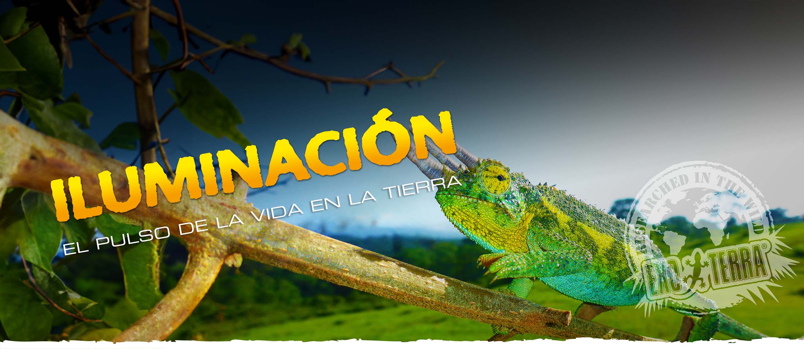 Mejora del bienestar animal en los zool&oacute;gicos