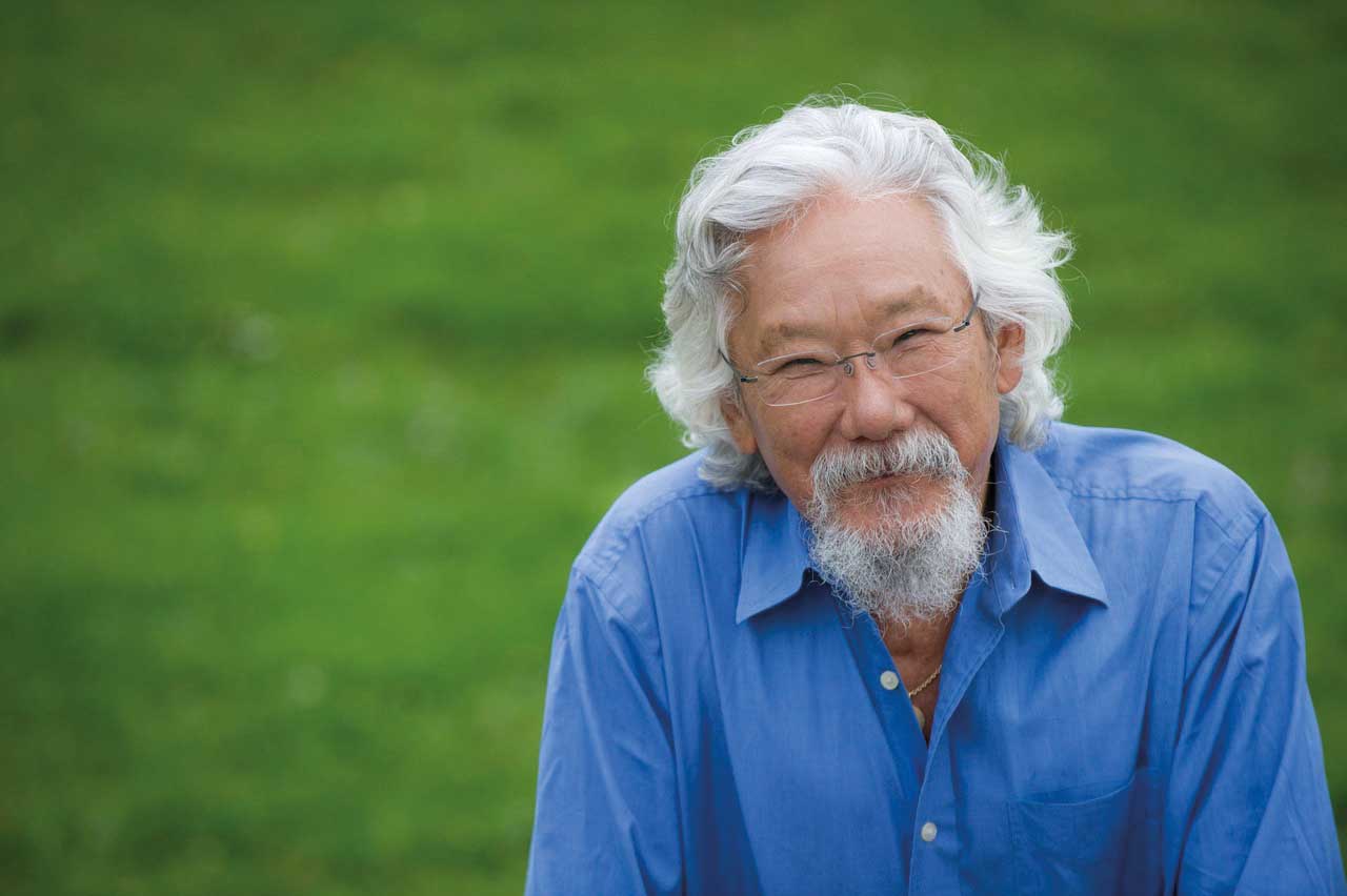 Dr. Suzuki
