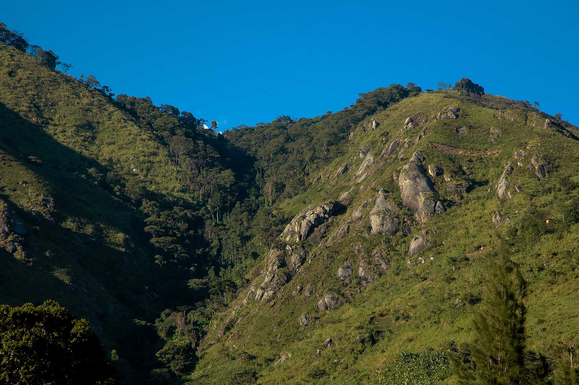 Monta&ntilde;as Rwenzori