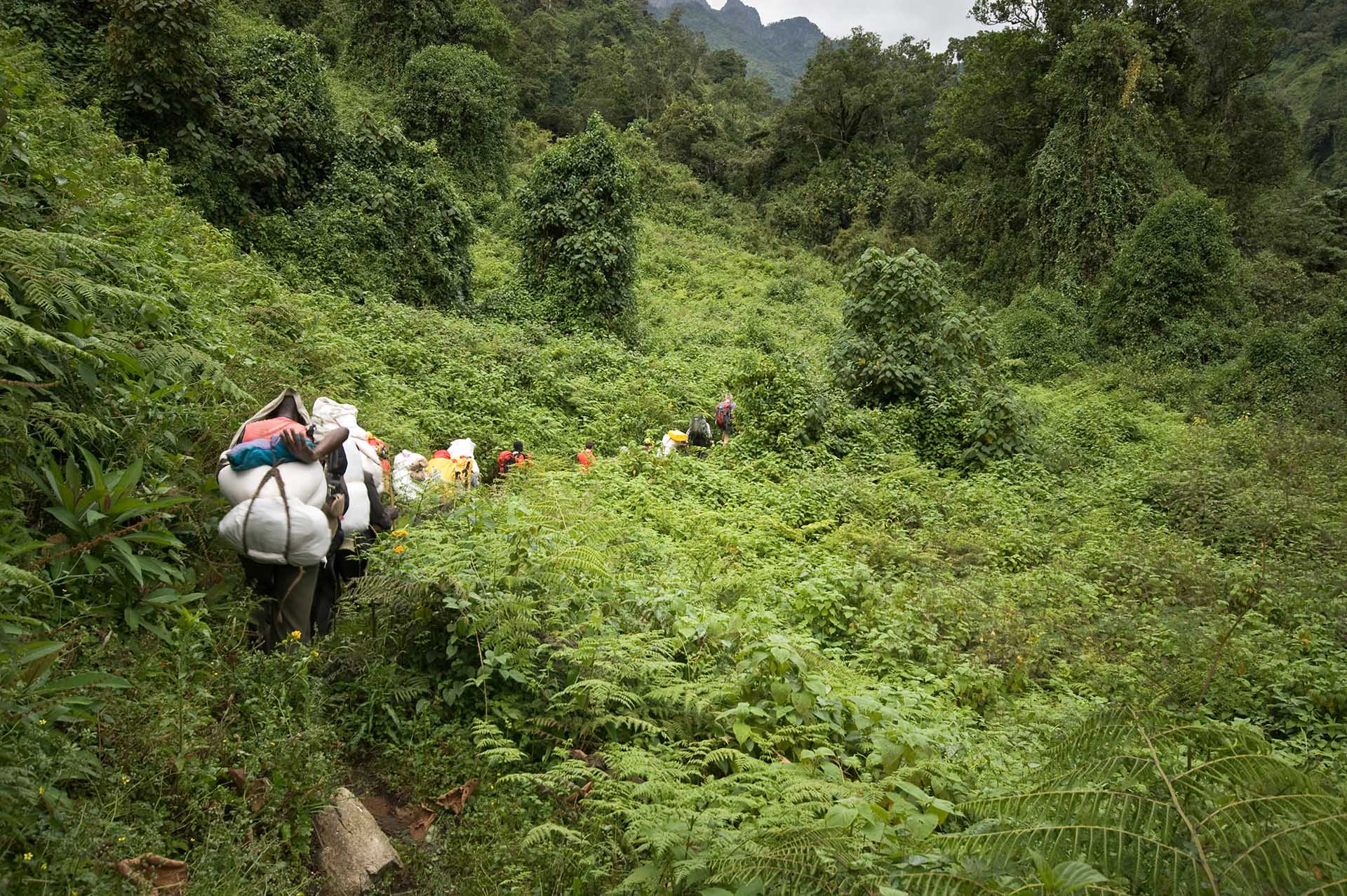 Monta&ntilde;as Rwenzori